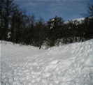 Bariloche Nieve 